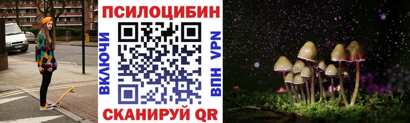 сколько стоит  площадка Telegram  Псилоцибиновые грибы мицелий  Тайга 